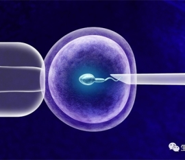 出现寒不孕的几率有多少